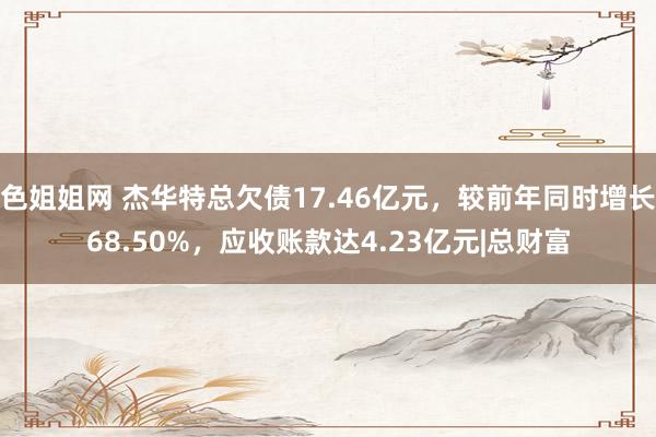 色姐姐网 杰华特总欠债17.46亿元，较前年同时增长68.50%，应收账款达4.23亿元|总财富