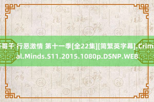 哥哥干 行恶激情 第十一季[全22集][简繁英字幕].Criminal.Minds.S11.2015.1080p.DSNP.WEB