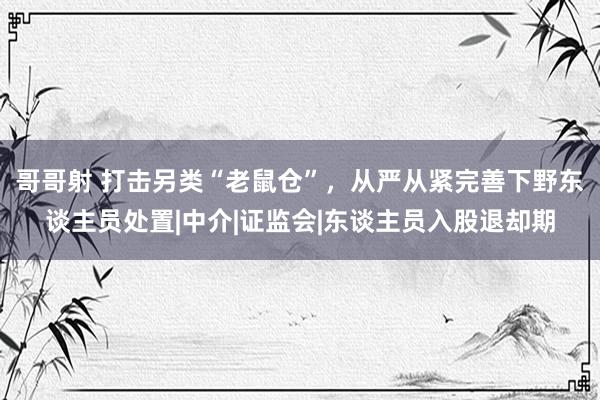 哥哥射 打击另类“老鼠仓”，从严从紧完善下野东谈主员处置|中介|证监会|东谈主员入股退却期