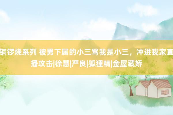 铜锣烧系列 被男下属的小三骂我是小三，冲进我家直播攻击|徐慧|严良|狐狸精|金屋藏娇