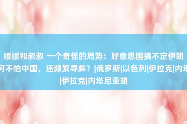 媛媛和叔叔 一个奇怪的局势：好意思国搞不定伊朗，但为何不怕中国，还频繁寻衅？|俄罗斯|以色列|伊拉克|内塔尼亚胡