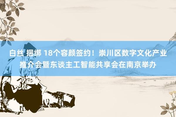 白丝 捆绑 18个容颜签约！崇川区数字文化产业推介会暨东谈主工智能共享会在南京举办