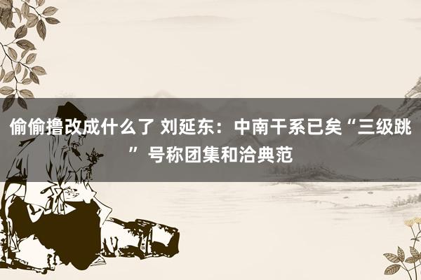 偷偷撸改成什么了 刘延东：中南干系已矣“三级跳” 号称团集和洽典范